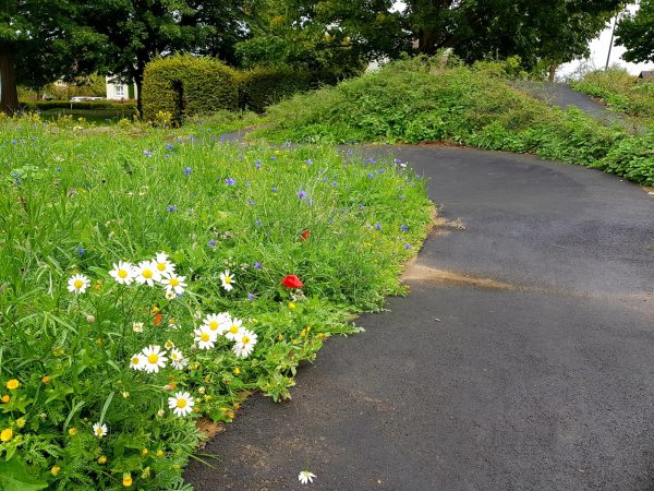 24.09.2022: Heute große Pflanzaktion: 120 Fingersträuche in allen Farben, gelbe Sonnenhüte 'Goldsturm', rosa Sonnenhüte, duftender Lavendel, über 300 bunte Blumenzwiebeln für Frühlingsblumen - nebenbei Rundbank aufgestellt mit großem Pflanzloch für Kugelbaum. Hat alles gut geklappt. Danke an alle, auch an die Helfer die früher aufbrechen mussten und nicht auf dem Foto sind. In der Woche in guter Zusammenarbeit mit Stadt Marienmünster Kriechtunnel verlängert für noch mehr Abenteuer für die Kinder.